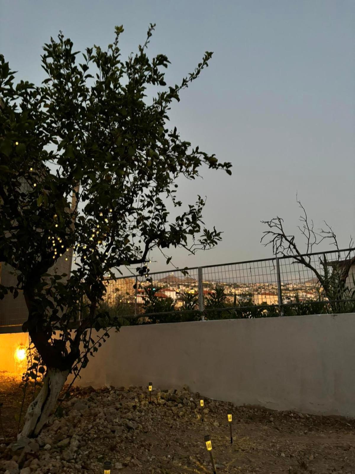 Bibliotheque Vintage Studio & Easy Garden Heraklion  Екстер'єр фото